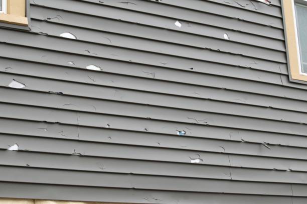 Reliable Belgium, WI Siding Installation & Repair Solutions